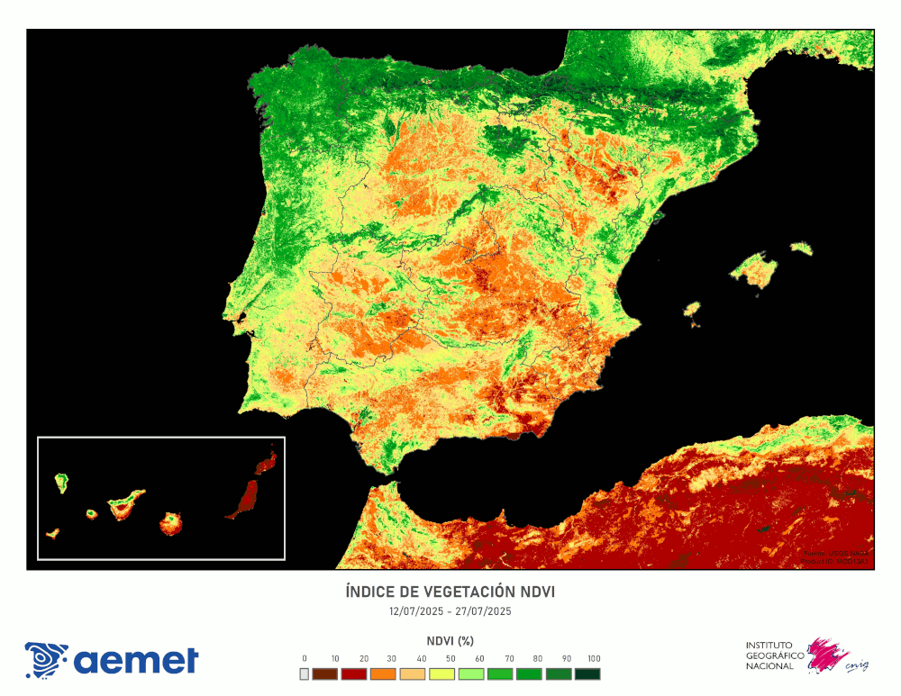 Esta imagen se realiza a partir del producto MOD13A1 de la NASA con una combinacin de los datos del canal visible y del infrarrojo cercano del instrumento MODIS portado por los satlites Terra y Aqua, que da una idea del desarrollo de la vegetacin. Esto es as debido a que la vegetacin absorbe mucho la radiacin del canal visible pero refleja fuertemente la del infrarrojo cercano. La imagen tiene una resolucin de 500 m, se refresca cada 16 das y muestra los datos acumulados en el perodo indicado. La imagen finalmente presentada aqu es fruto de una colaboracin entre AEMET y el IGN.