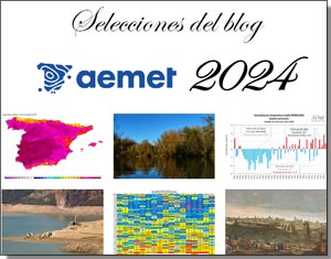 Selecci&oacute;n 2024