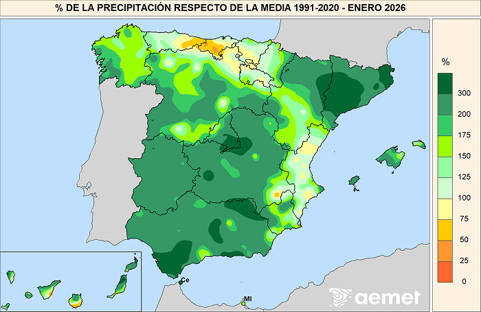 Porcentaje de la precipitaci&oacute;n con respecto a la media 1991-2020 en enero de 2026.