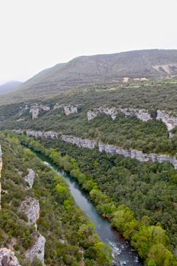 Aspecto primaveral del soto del cañón del Ebro (Burgos el 28/04/2018).